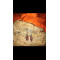 Gorgeous amber earrings